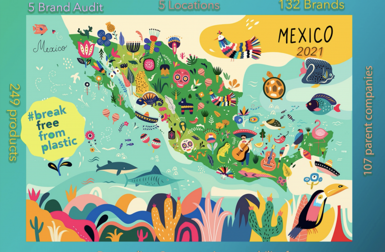 Auditoría de marca de plásticos México 2021