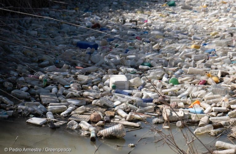 Organizaciones ambientalistas interponen un amparo para que el Congreso de la Unión prohíba los plásticos de un solo uso